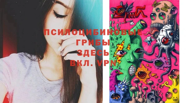 mdma Пересвет